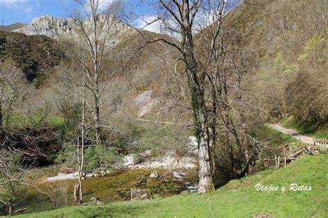 sendero de piedras y vegetación junto al río Dobra en Asturias
