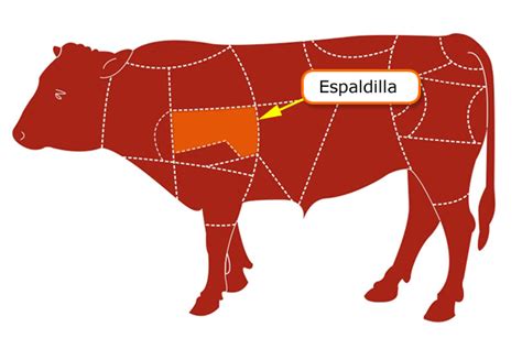 Anatomía de la ternera, destacando la zona de la espaldilla