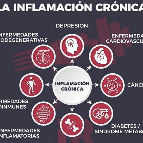 Rueda de causas y consecuencias de la inflamación crónica