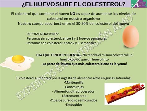 Infografía sobre el efecto del huevo en el colesterol