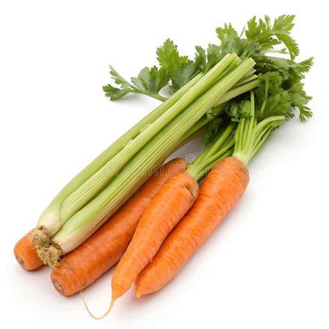 Apio y zanahorias frescas