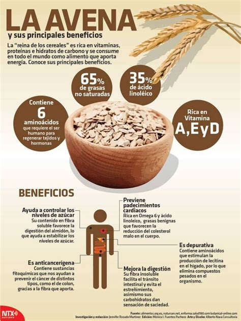Infografía sobre los beneficios de la avena para la salud