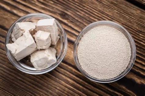 Comparativa entre levadura fresca, seca y masa madre