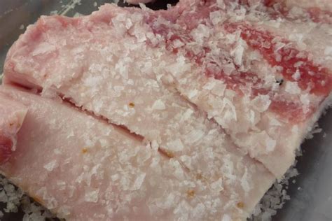 Recipiente con carne sumergida en salmuera húmeda