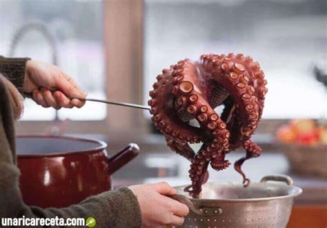 Tabla de tiempo de cocción del pulpo