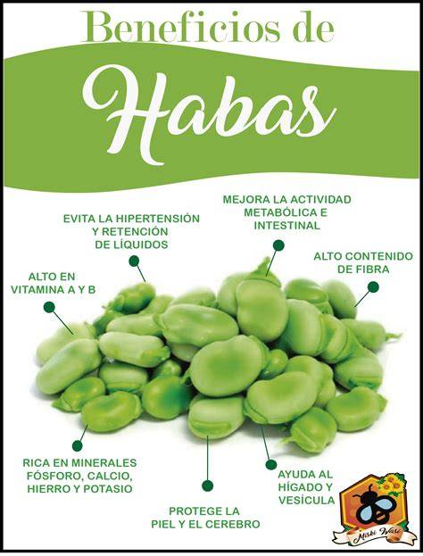 Infografía con valores nutricionales de las habas