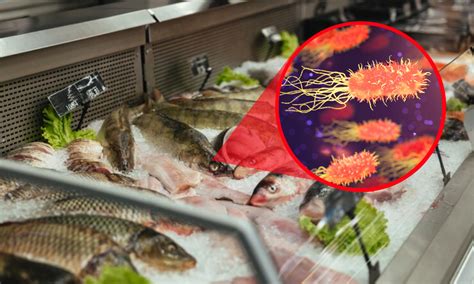 Esquema de las bacterias y parásitos presentes en el pescado crudo