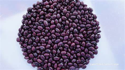 Semillas de judía morada redonda (pipos morados)