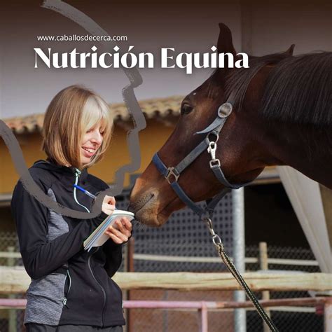 Caballo recibiendo suplementos