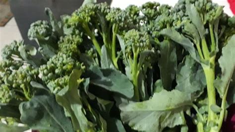 Flores de brócoli frescas