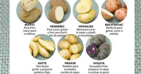 Tipos de patatas para guisar y cómo