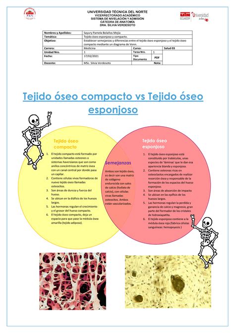 esquema visual de texturas: crujiente, cremoso, esponjoso y líquido