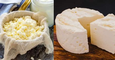 Tipos de leche para hacer queso casero