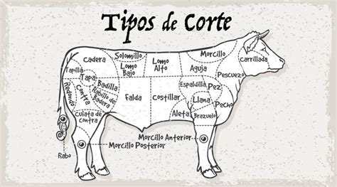 Corte de peceto y su ubicación en la res