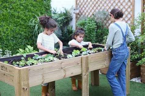 niños cosechando vegetales en un huerto