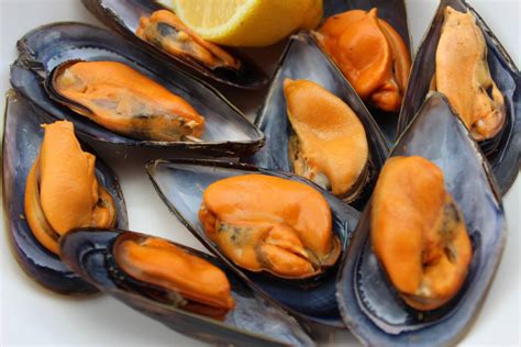 Imágenes de mejillones frescos y limpios