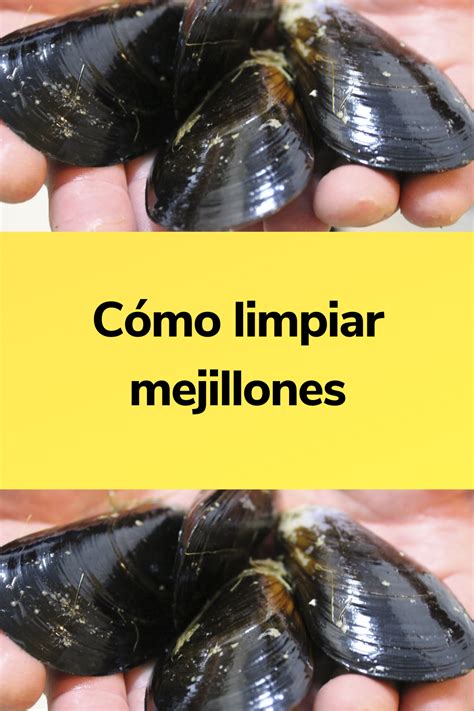 Infografía sobre cómo limpiar mejillones
