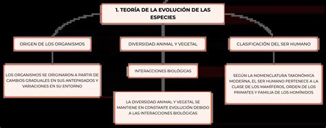 Esquema de la evolución de las especies de trigo