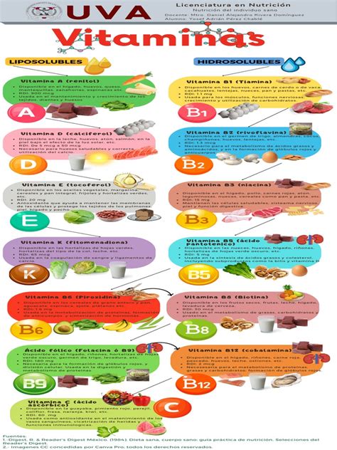Infografía sobre vitaminas y minerales presentes en la pechuga de pavo