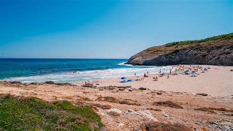 Infografía sobre Cala Torta: servicios, acceso, actividades