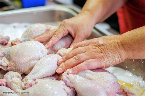 Persona rebozando pollo