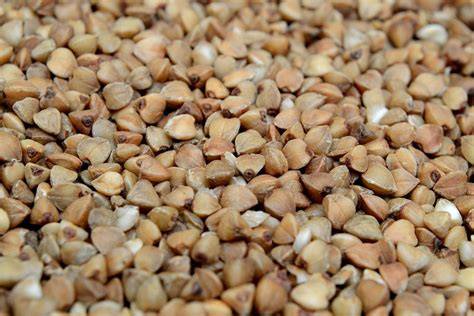 Grano de trigo sarraceno y quinoa
