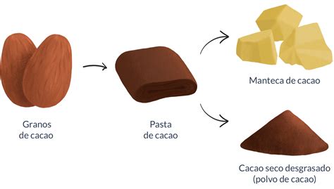 Composición del chocolate negro