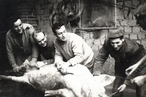Ilustración de una matanza tradicional de cerdo en un entorno rural español
