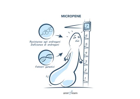 Diagrama que ilustra las dimensiones de un micropene en comparación con el tamaño promedio.