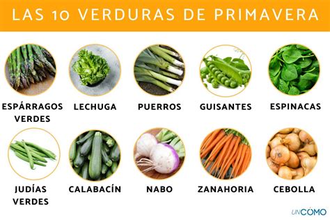 Variedad de verduras frescas de primavera