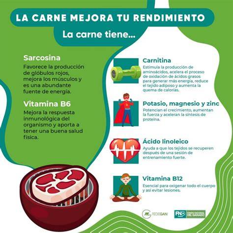 Infografía sobre beneficios de la carne roja