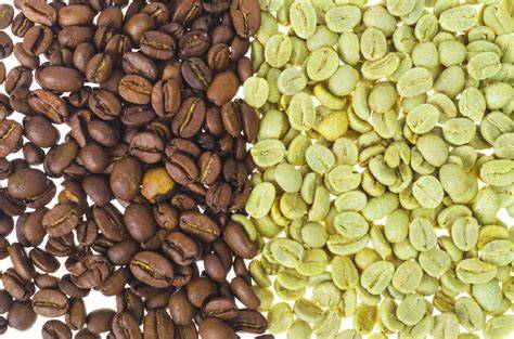 Granos de café verde y tostado