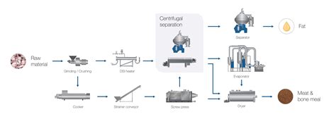 Proceso de renderizado de carne