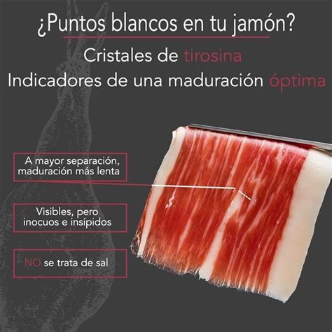 Puntos blancos de tirosina en jamón