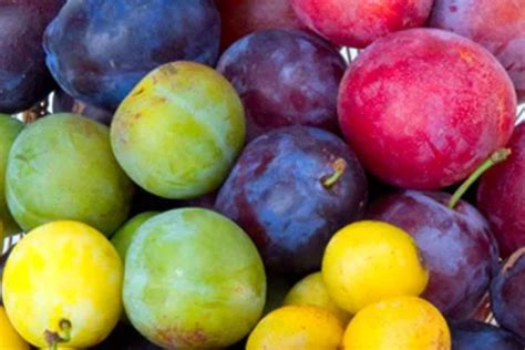 Tabla comparativa de variedades de ciruelas