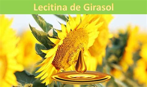 Comparativa gráfica entre lecitina de girasol, soja y huevo