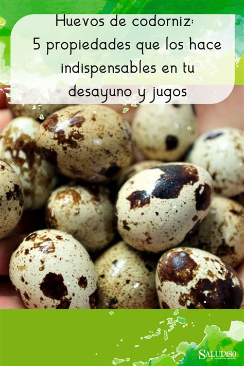infografía beneficios huevos codorniz