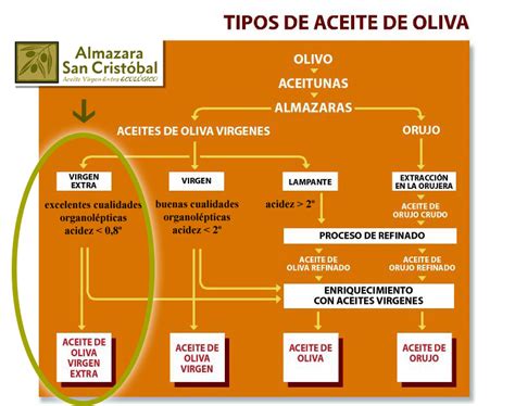 Mesa con varios tipos de aceites de oliva virgen extra