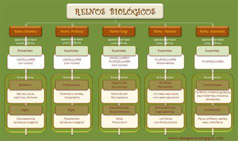 Esquema de la clasificación de los cinco reinos biológicos