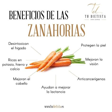 Diagrama de beneficios para la salud de las zanahorias y el yogur