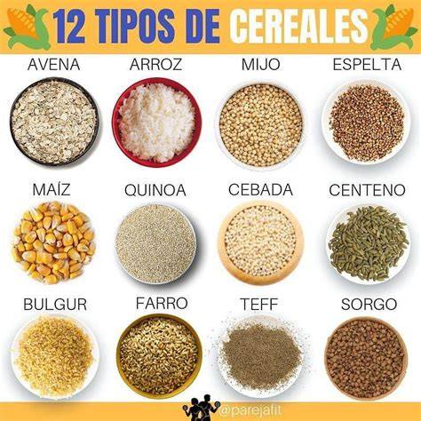 Ilustración de diferentes tipos de cereales
