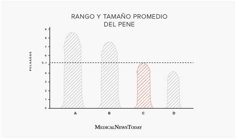Tabla de tamaños promedio del pene (longitud y circunferencia) en estado flácido y erecto