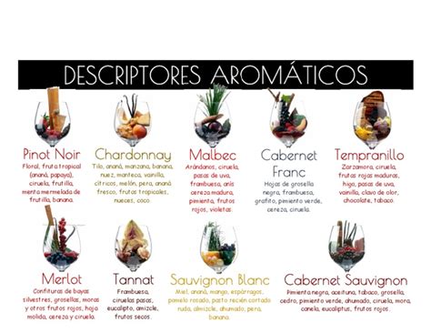 Comparación de perfiles aromáticos de vinos fermentados con diferentes levaduras