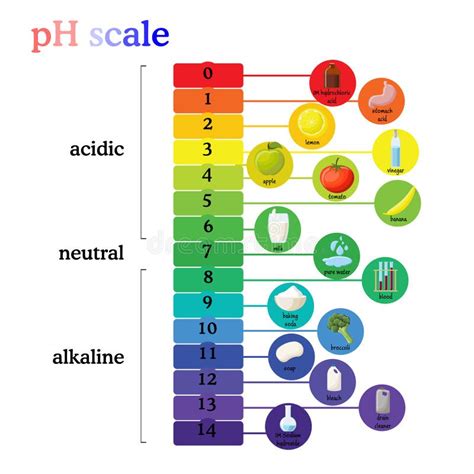 Escala de pH con valores de alimentos comunes