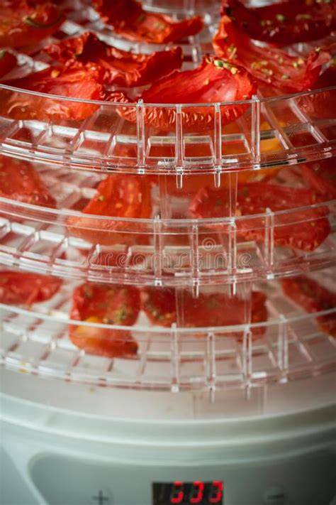 Tomates deshidratándose en un deshidratador eléctrico