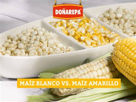 Diferencias entre maíz entero y maíz procesado