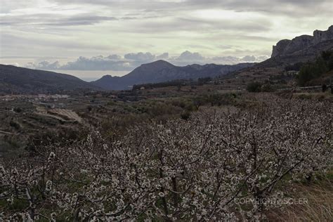 Paisaje montañoso de la provincia de Alicante en primavera