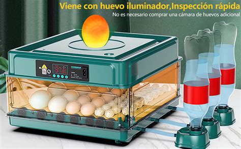 incubadora de huevos automática con sistema de volteo