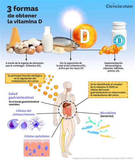 Infografía sobre los beneficios de la vitamina A y D