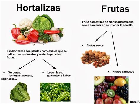 Diferencias visuales entre verduras, hortalizas y legumbres